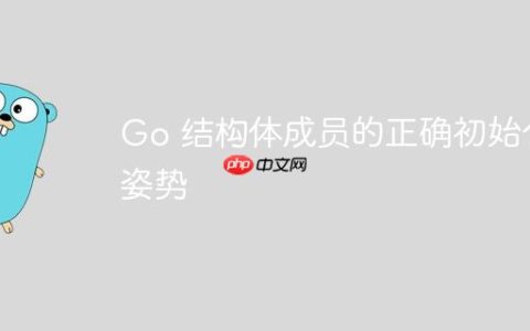 Go 结构体成员的正确初始化姿势