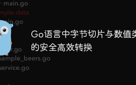 Go语言中字节切片与数值类型的安全高效转换
