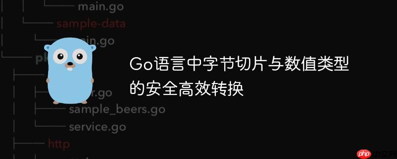 Go语言中字节切片与数值类型的安全高效转换