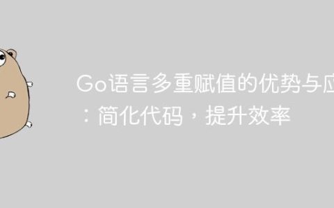 Go语言多重赋值的优势与应用：简化代码，提升效率
