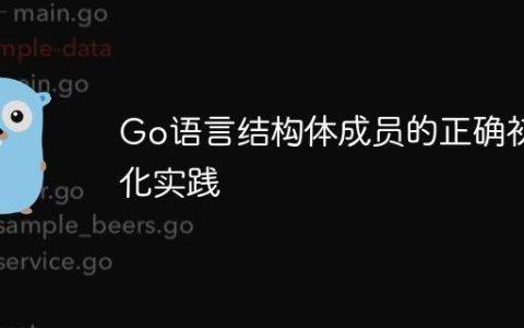 Go语言结构体成员的正确初始化实践