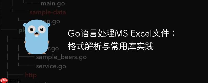 Go语言处理MS Excel文件:格式解析与常用库实践