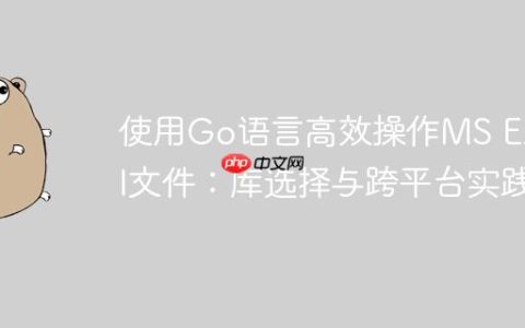 使用Go语言高效操作MS Excel文件：库选择与跨平台实践