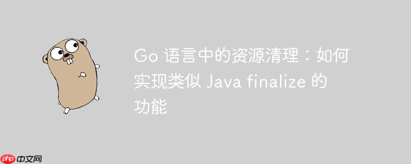 go 语言中的资源清理:如何实现类似 java finalize 的功能