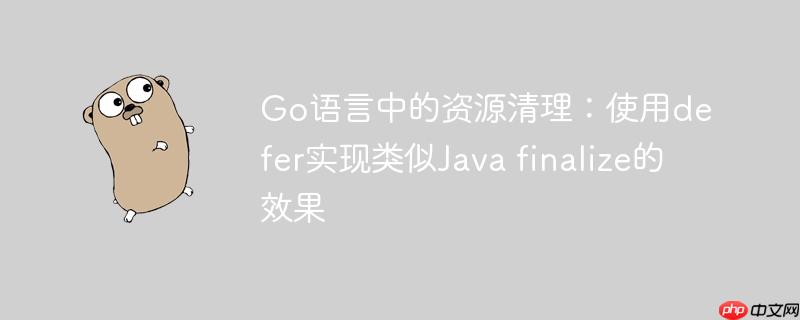 go语言中的资源清理:使用defer实现类似java finalize的效果