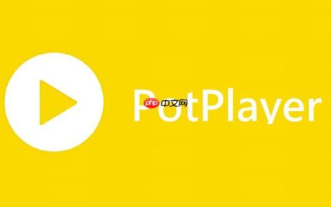 PotPlayer怎么去除水印 PotPlayer实时滤镜处理方案