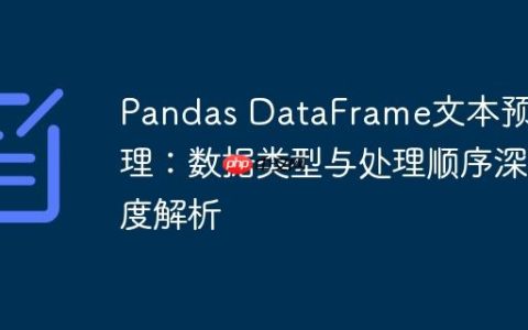 Pandas DataFrame文本预处理：数据类型与处理顺序深度解析