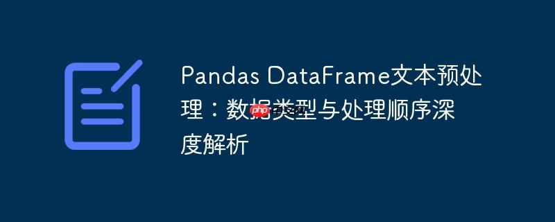 pandas dataframe文本预处理:数据类型与处理顺序深度解析