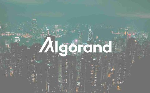 Algorand的ALGO激增： ushering in a New Network Era？