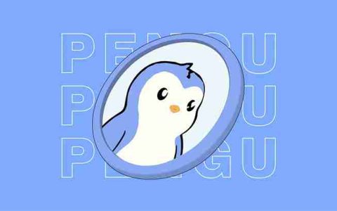 胖企鹅（PENGU币）怎么样？PENGU币价格预测：近期能到 0.05 美元吗？