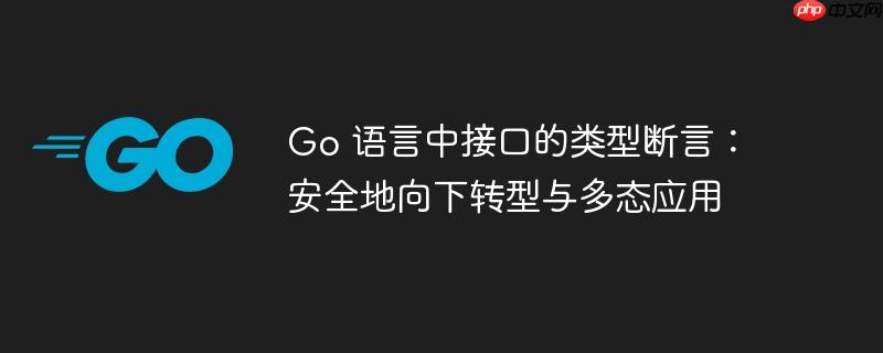 Go 语言中接口的类型断言:安全地向下转型与多态应用