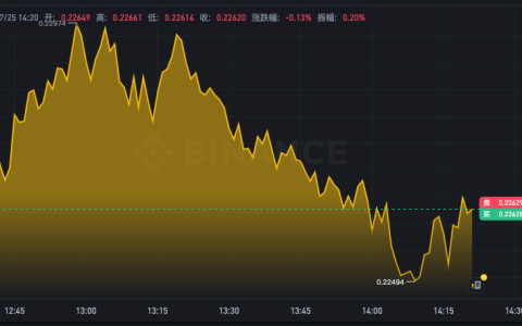 狗狗币最新价格k线走势图app 最新DOGE价格走势分析app