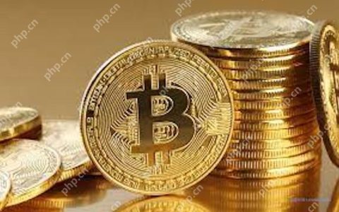 币种行情网站是否支持DEX数据？这些平台让你链上链下同步看