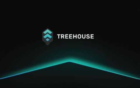 什么是Treehouse(TREE币)?如何运作?Treehouse团队背景,代币经济与未来前景分析