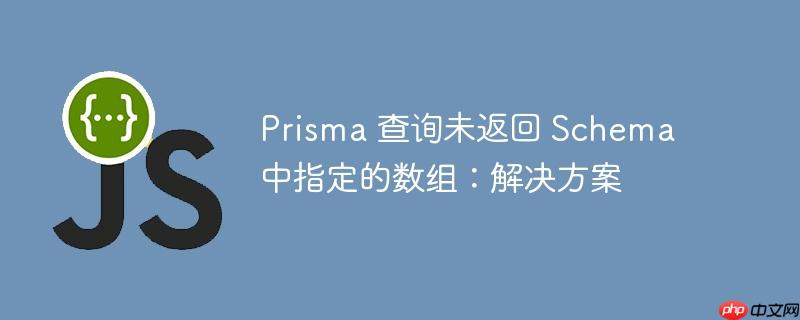 prisma 查询未返回 schema 中指定的数组:解决方案