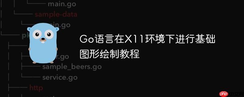 Go语言在X11环境下进行基础图形绘制教程