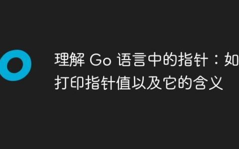 理解 Go 语言中的指针：如何打印指针值以及它的含义