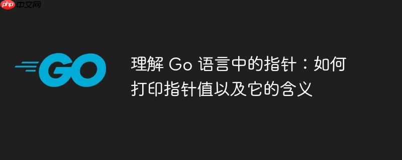 理解 go 语言中的指针：如何打印指针值以及它的含义