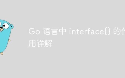 Go 语言中 interface{} 的作用详解