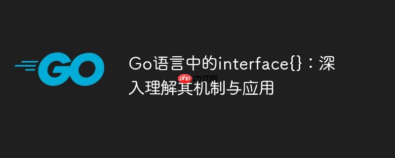 Go语言中的interface{}：深入理解其机制与应用