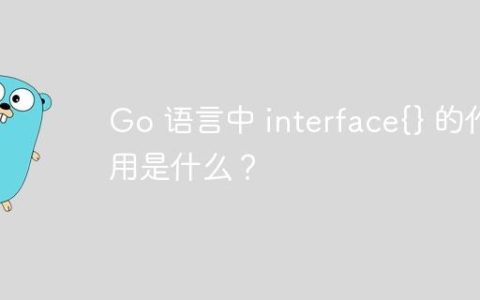 Go 语言中 interface{} 的作用是什么？