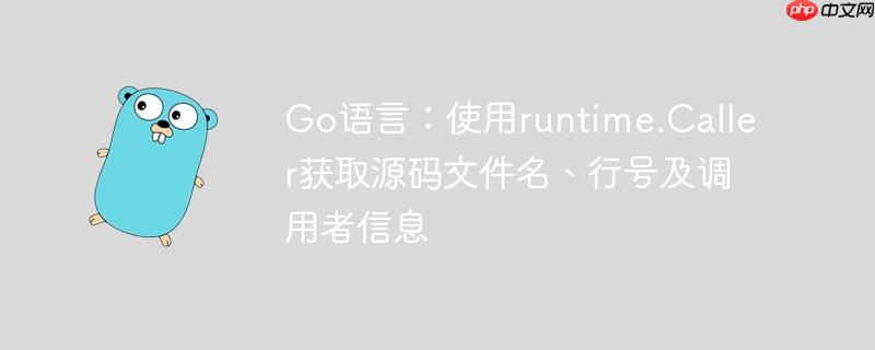 go语言：使用runtime.caller获取源码文件名、行号及调用者信息