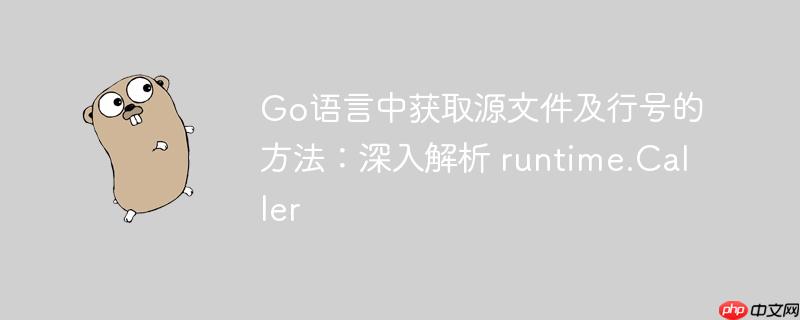 Go语言中获取源文件及行号的方法：深入解析 runtime.Caller