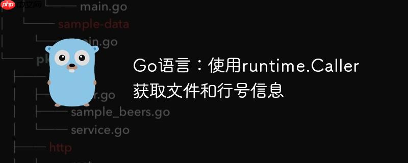 Go语言:使用runtime.Caller获取文件和行号信息