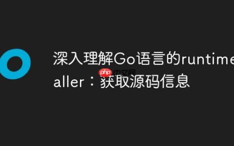 深入理解Go语言的runtime.Caller：获取源码信息