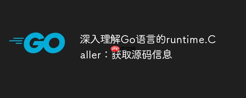 深入理解go语言的runtime.caller:获取源码信息
