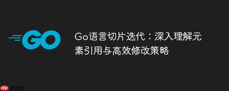 Go语言切片迭代：深入理解元素引用与高效修改策略