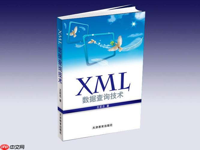 如何使用Python的lxml库高效解析大型XML文件?