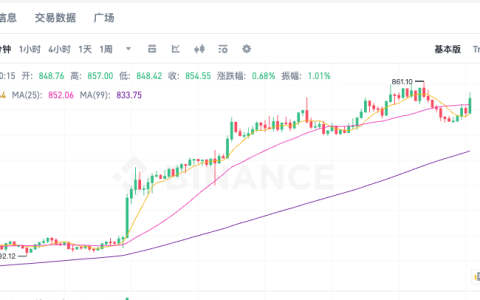 币安币BNB价格实时追踪 币安币K线图历史走势全面解析