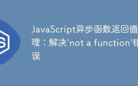 JavaScript异步函数返回值处理：解决’not a function’错误