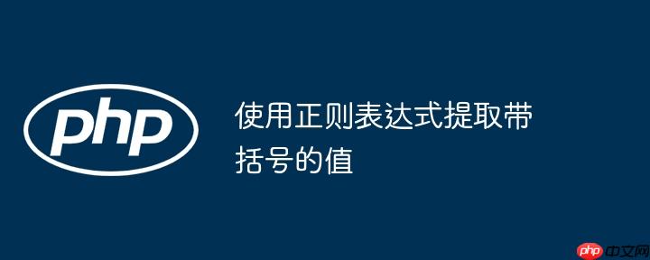 使用正则表达式提取带括号的值