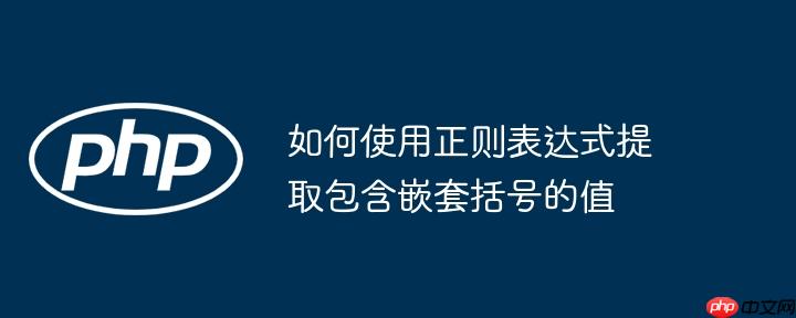 如何使用正则表达式提取包含嵌套括号的值