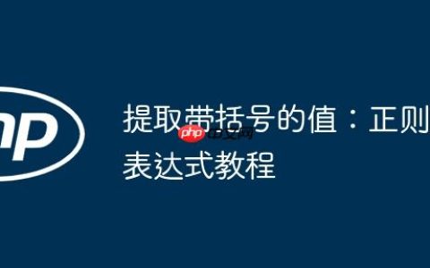 提取带括号的值：正则表达式教程