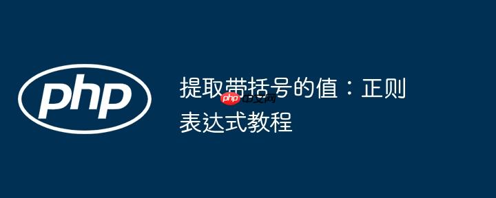 提取带括号的值:正则表达式教程