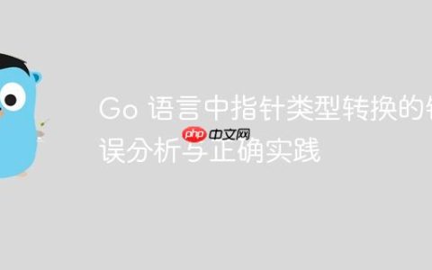 Go 语言中指针类型转换的错误分析与正确实践