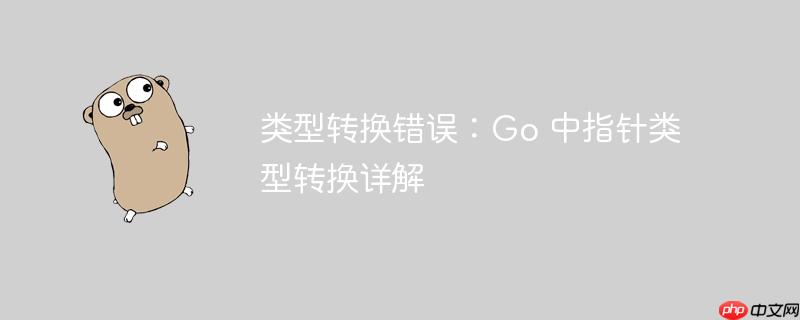 类型转换错误:Go 中指针类型转换详解