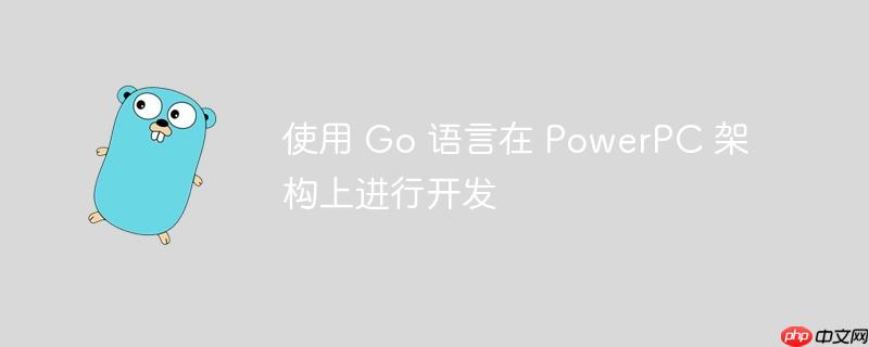 使用 go 语言在 powerpc 架构上进行开发