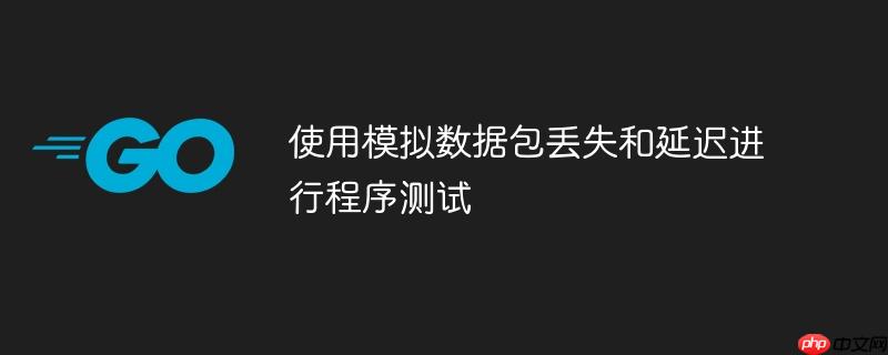 使用模拟数据包丢失和延迟进行程序测试