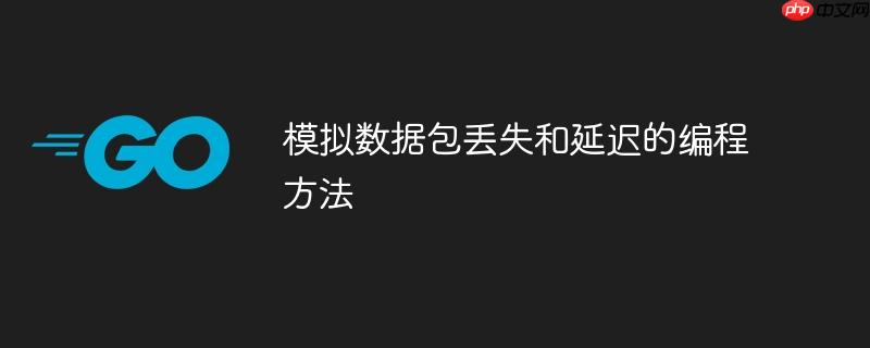 模拟数据包丢失和延迟的编程方法
