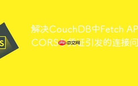 解决CouchDB中Fetch API因CORS与凭证引发的连接问题