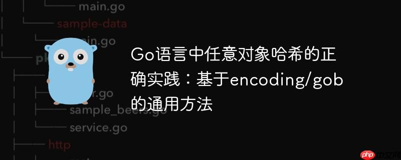Go语言中任意对象哈希的正确实践:基于encoding/gob的通用方法