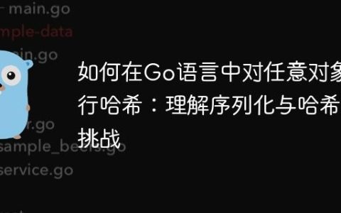 如何在Go语言中对任意对象进行哈希：理解序列化与哈希的挑战