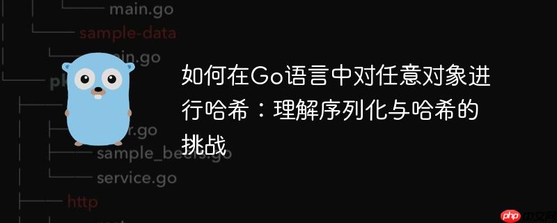 如何在Go语言中对任意对象进行哈希:理解序列化与哈希的挑战