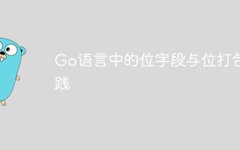 Go语言中的位字段与位打包实践