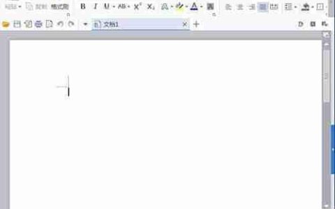 WPS文字插入斜纹图形技巧