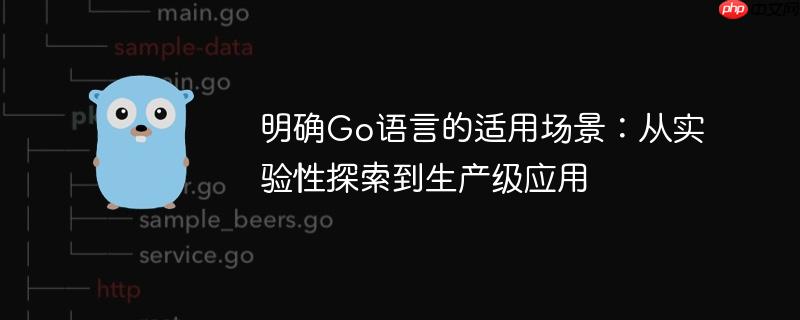 明确Go语言的适用场景:从实验性探索到生产级应用
